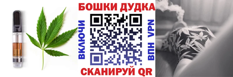Canna-Cookies марихуана  hydra ONION  Новоузенск 