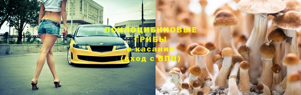 мяу мяу мука Нефтегорск