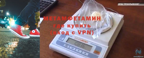 шишки Новодвинск