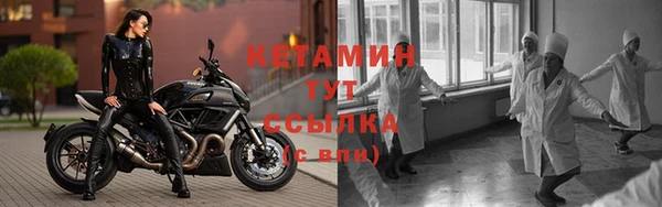 шишки Новодвинск