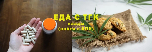 шишки Новодвинск