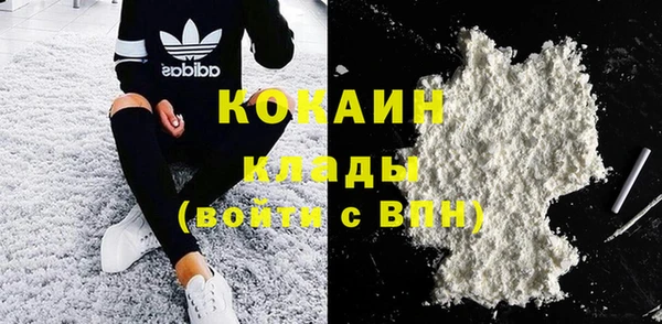 шишки Новодвинск