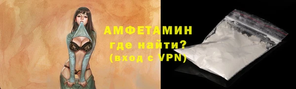шишки Новодвинск