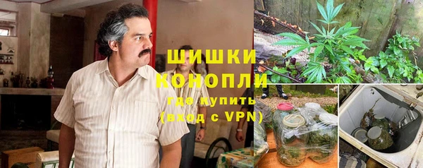 шишки Новодвинск