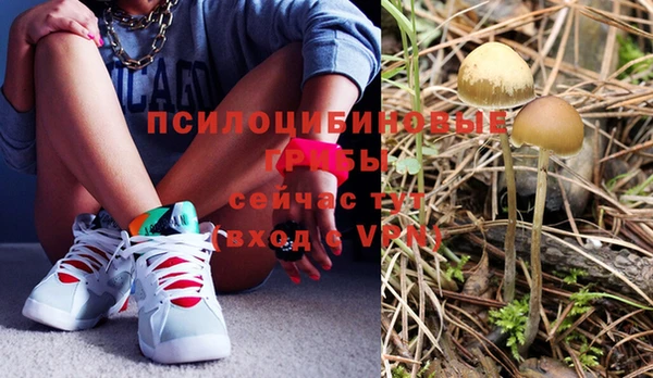 шишки Новодвинск