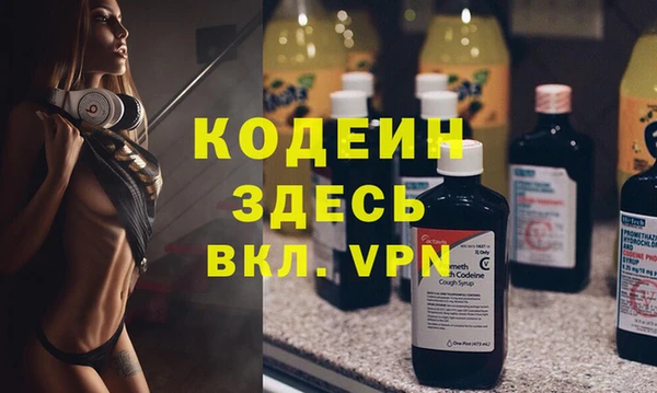 шишки Новодвинск