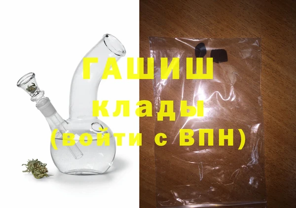 шишки Новодвинск